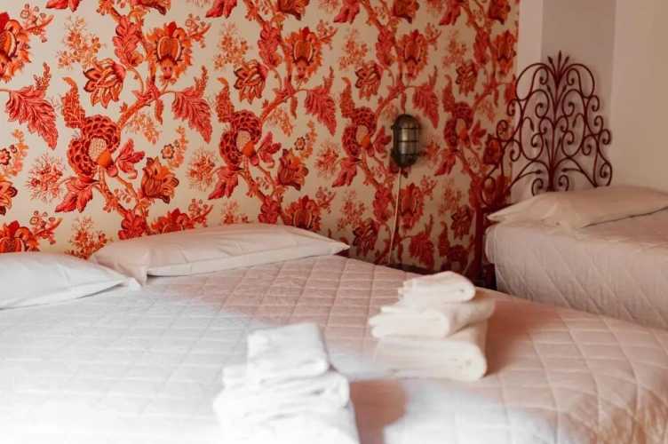 Standard Double room with balcony and with view