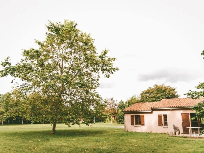 Cottage