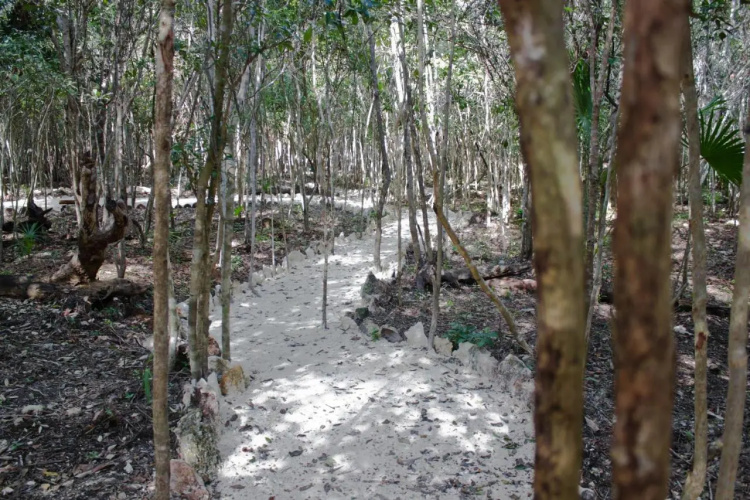 Aldea Maya Ha Cabanas Con Cenotes