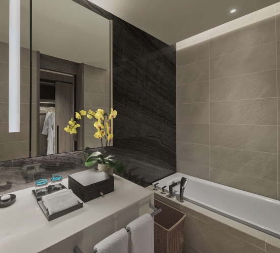 1 Bedroom Executive Suite with city view