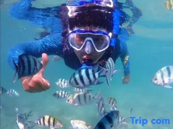 Stayokay Sattahip
