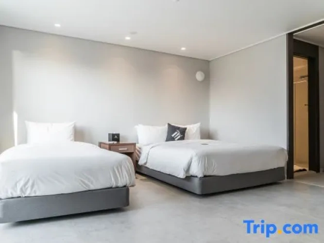 Deluxe Twin room with park view