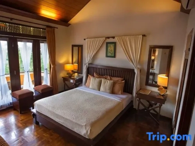 Deluxe Double room with balcony and with view