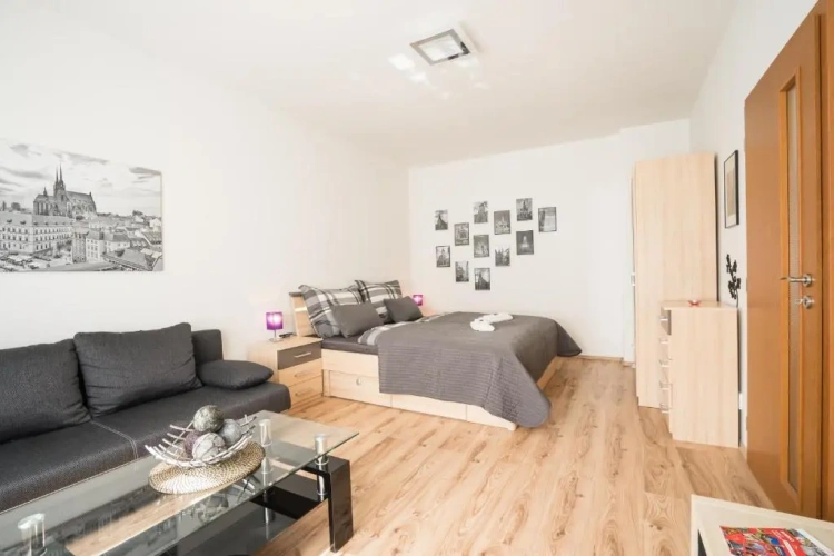 Superior Apartment