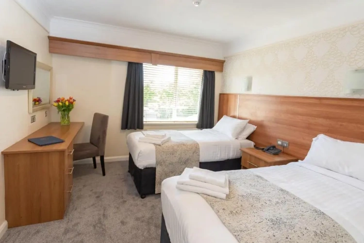Standard Twin room