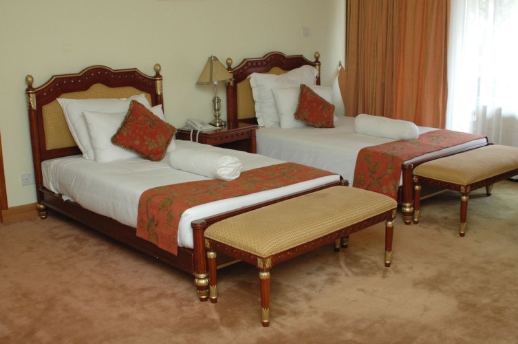 Deluxe Twin room with garden view