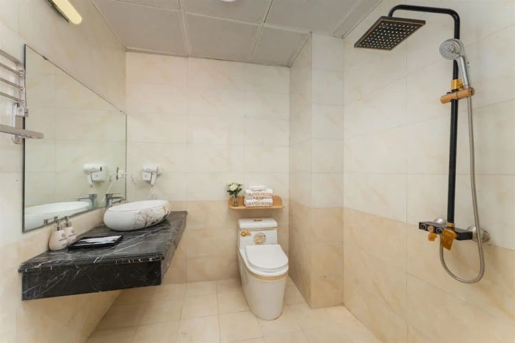 Standard Twin room with city view