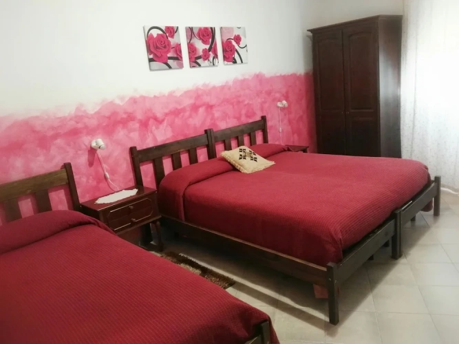 Standard Double Basement room
