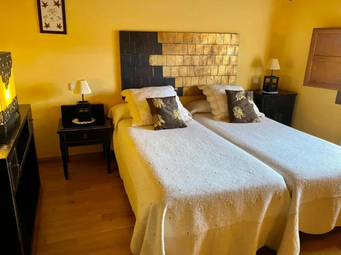 Standard Double room with mountain view