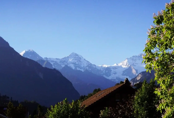 Standard Double room with mountain view