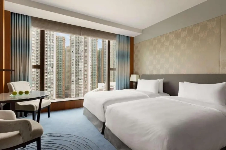 Deluxe Twin room with city view