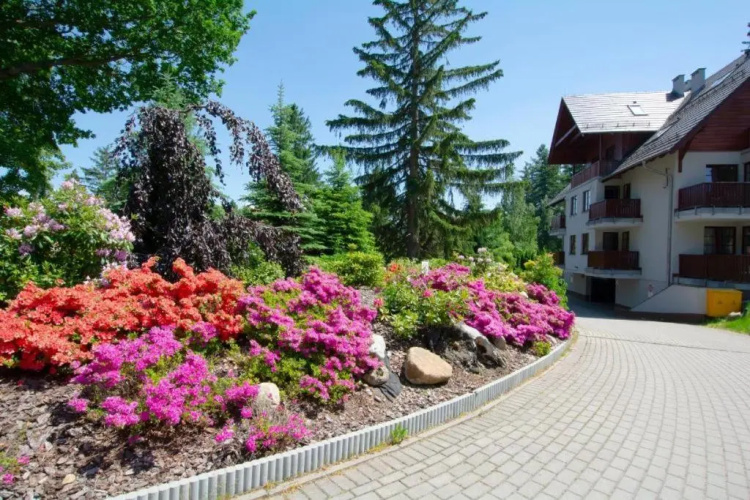 Apartament Polana-Karpacz