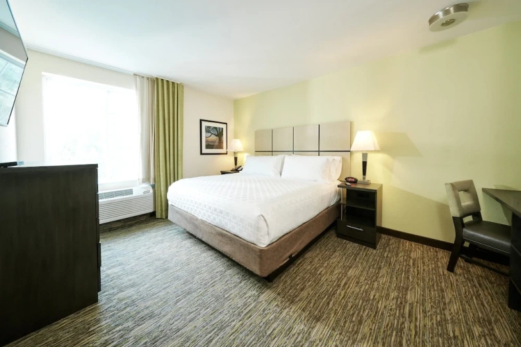 1 Bedroom Suite