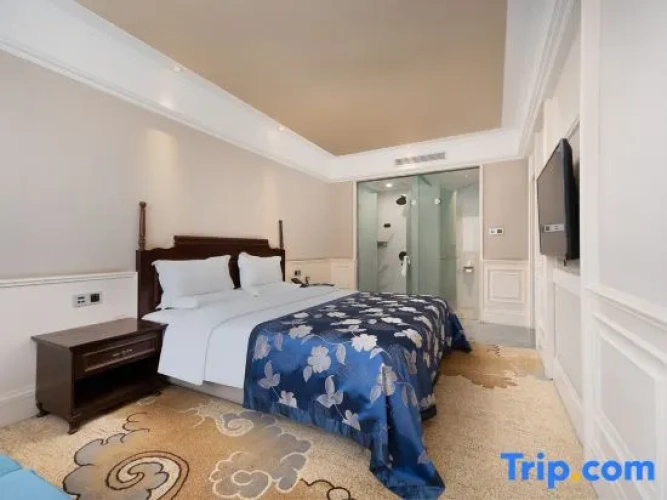 Deluxe Single Suite