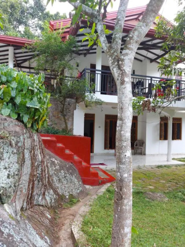 House Rent for low cost