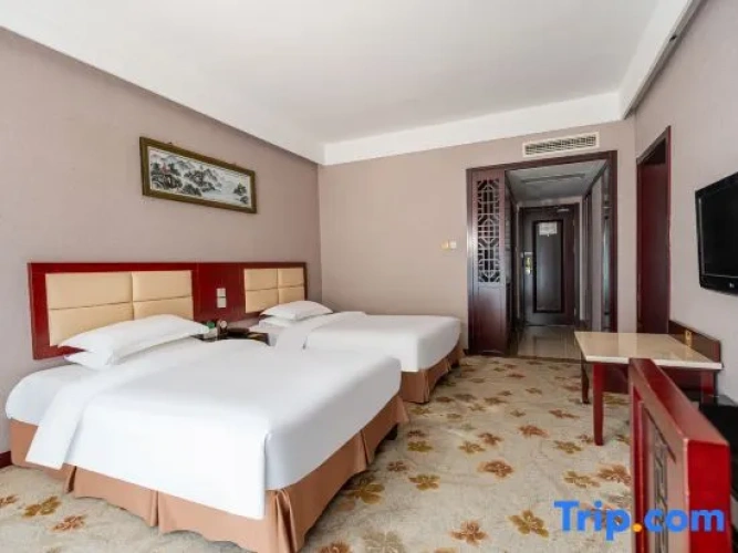 Quadruple Family Suite