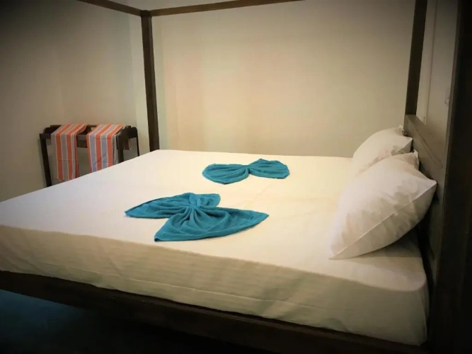 Standard Double room with garden view