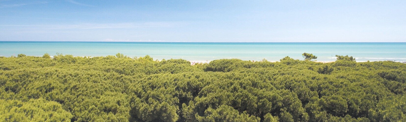 Hotel Stella Del Mare Over view