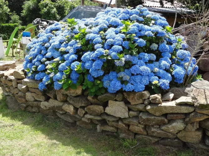 Roulotte Bigoudenne
