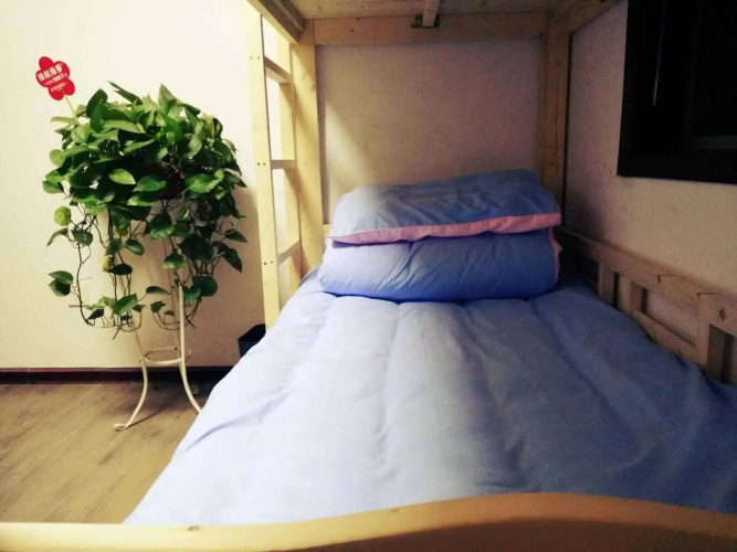 Broncos Youth Hostel