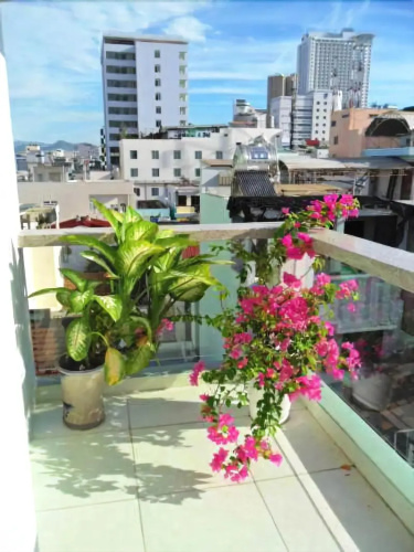 Thien Truc Guest House