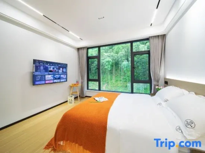 Standard Double room with view