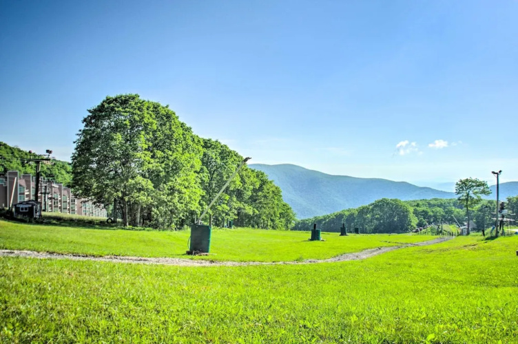 Wintergreen Resort Studio w/ Deck & Ski-out Access