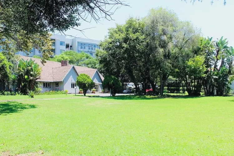 Lovely 1-bed Apartment in Sandton