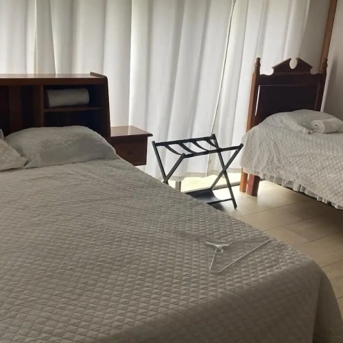 Standard Twin room with garden view