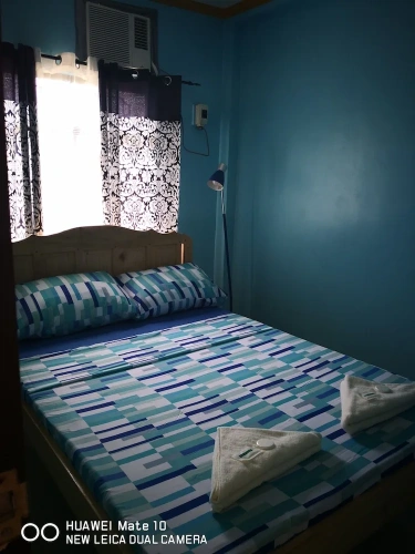 1 Bedroom Basement Apartment