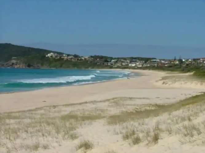 Beach Comber