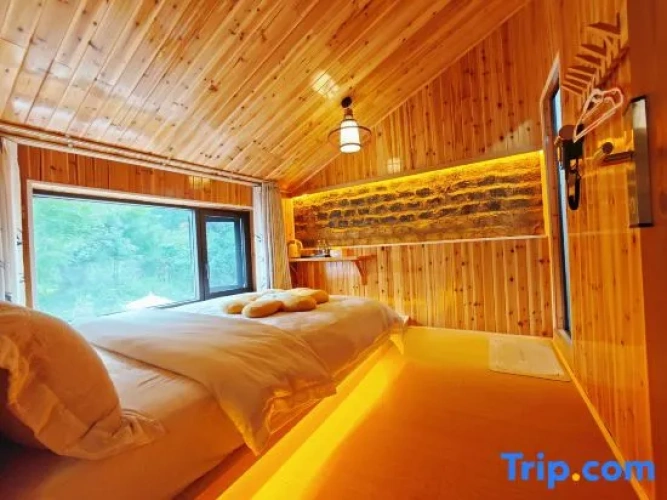 Standard Double room with river view
