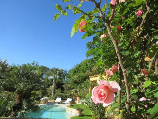 Standard Double room with pool view