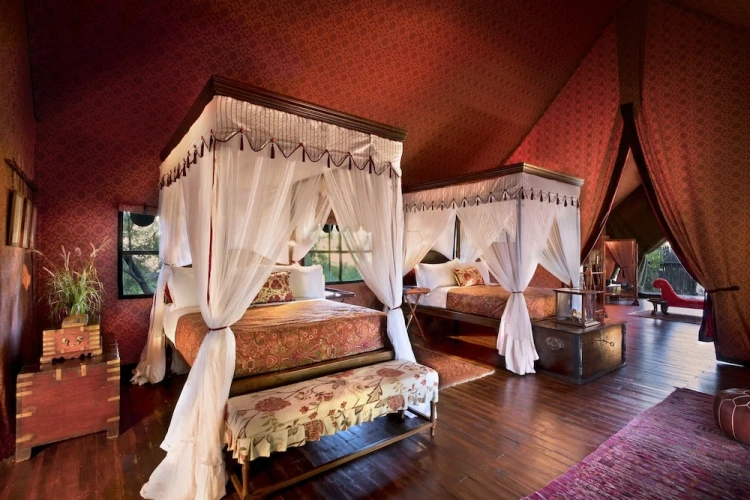 Tent
