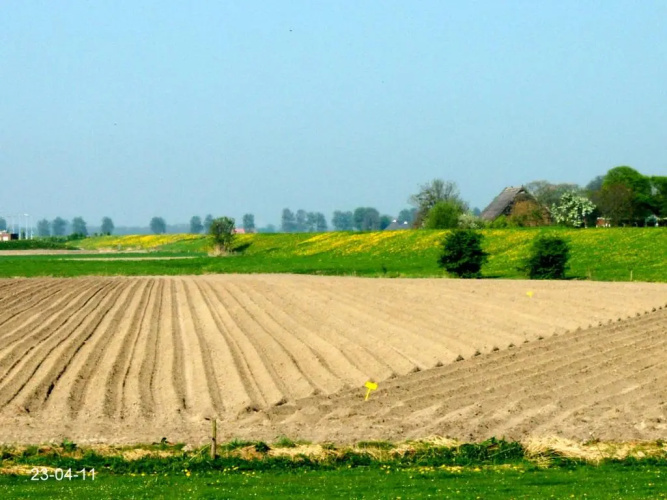 de Twee Paardjes