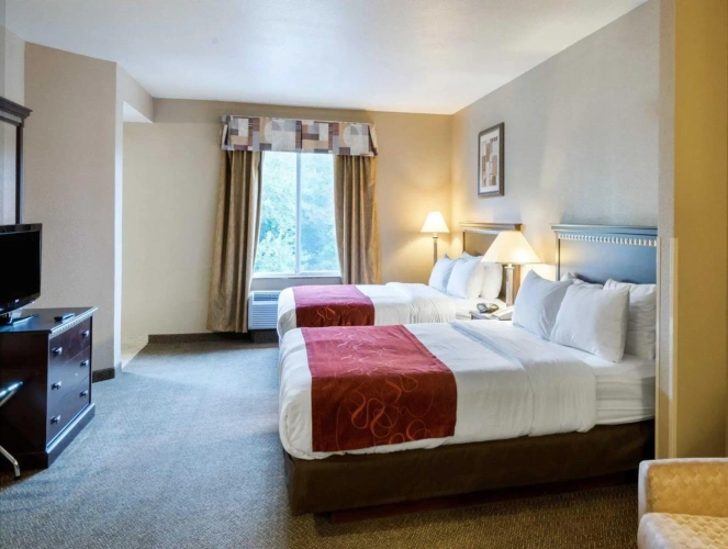 Double Suite