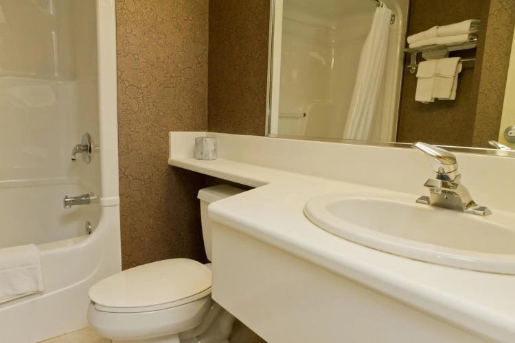Comfort Inn Lundy's Lane photo 9