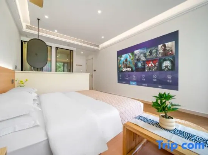 Standard Double Attic room