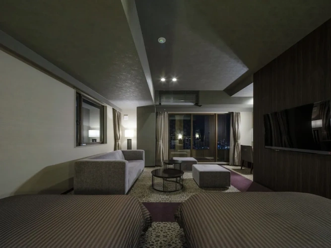 Deluxe Twin room with city view
