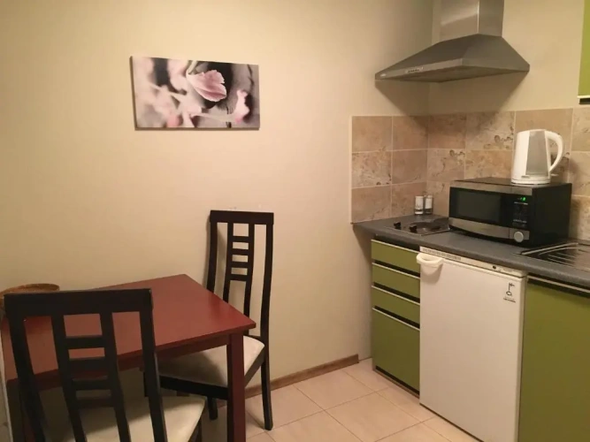 Apartment with garden view