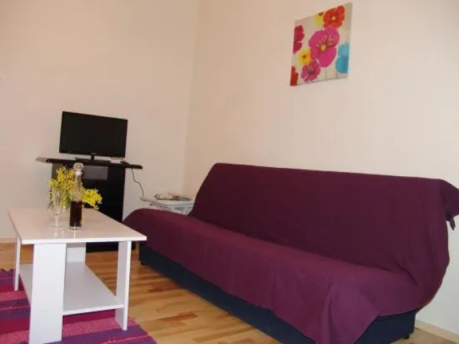 Apartment Viki