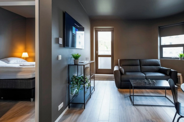1 Bedroom Standard Apartment with balcony