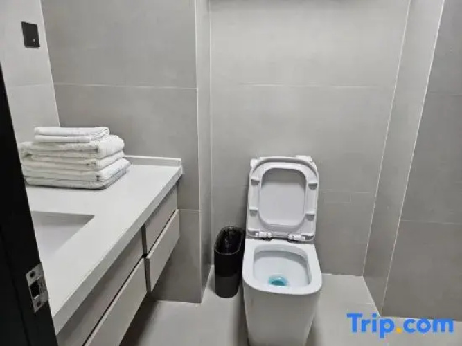 Linyi Qingya Apartment