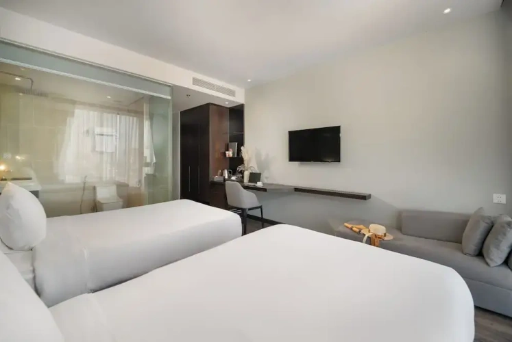 Deluxe Twin room with city view
