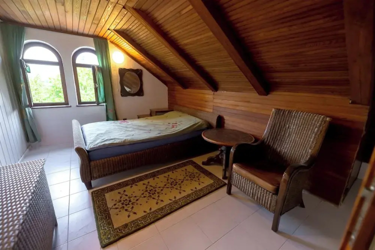 Vineyard cottage Rustika