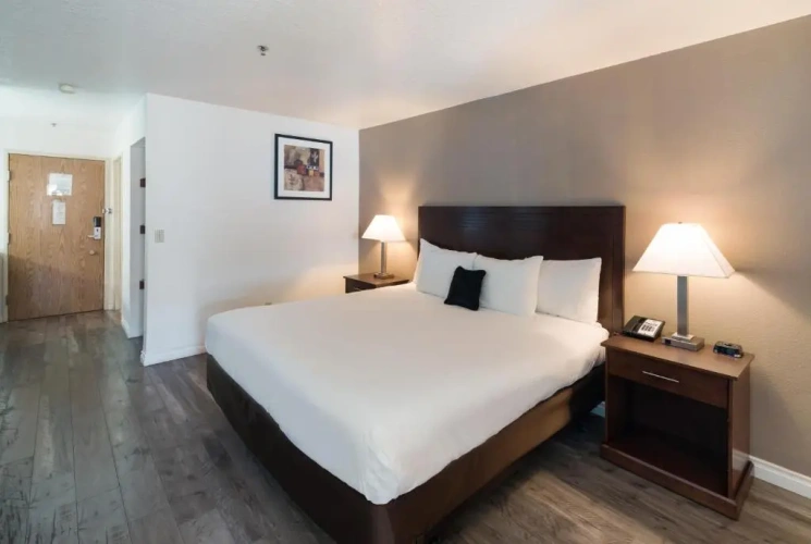 Deluxe Double Suite
