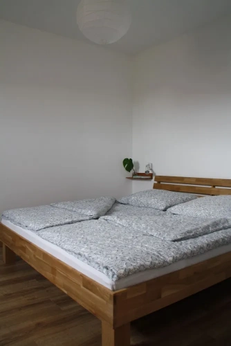 1 Bedroom Classic Apartment with garden view