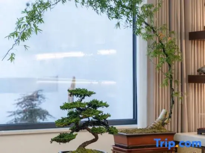 Yi  Hao   Mei    Ju
