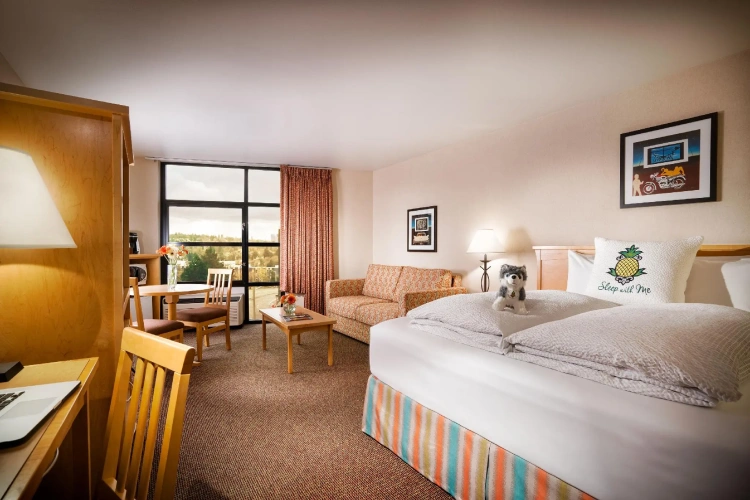 Premier Double room