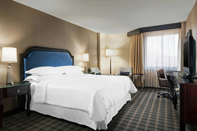 Sheraton Charlotte Airport Hotel photo 8